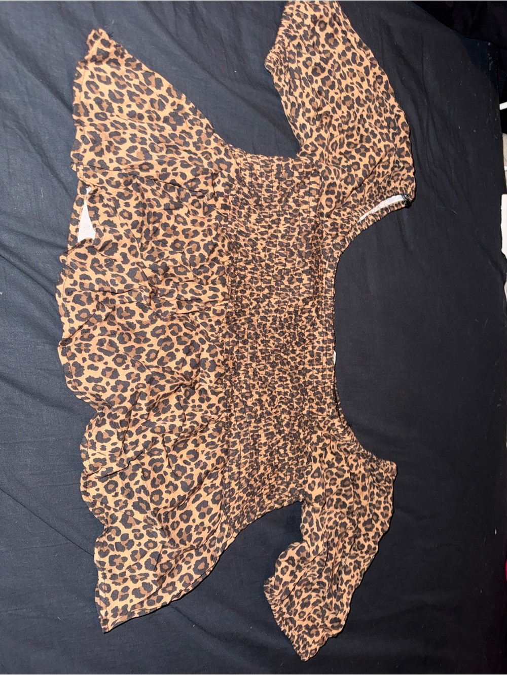 aerie Leopard Print Crop Top - Brown & Black